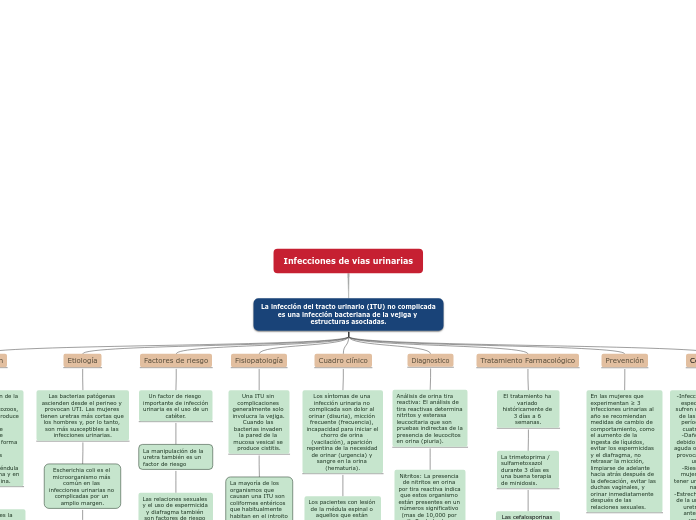 Infecciones De V As Urinarias Mind Map